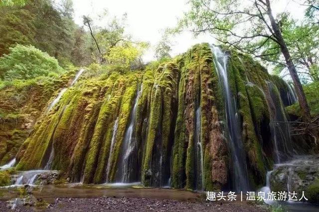 召唤神龙万宁版祖龙