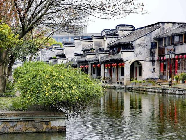 全民剧本大师内置菜单