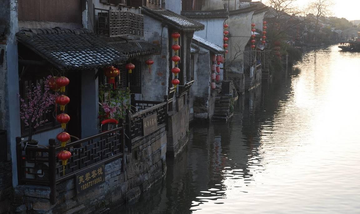 动物帮帮忙保卫家园